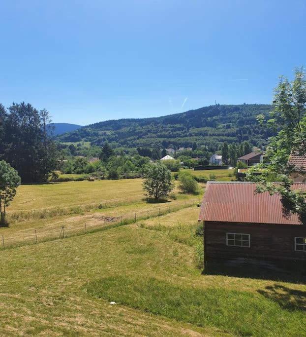 Chalet Les Boudieres 6 Pers Pres Gerardmer Cosy Billard Fraize ภายนอก รูปภาพ